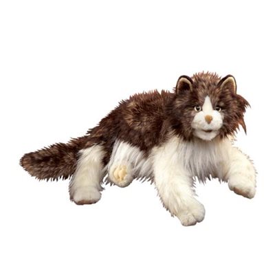Chat de gouttière