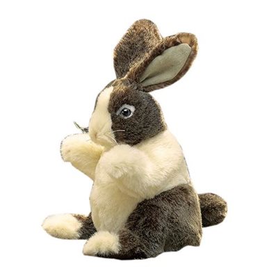 Petit lapin Petit lapin
