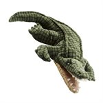 Alligator