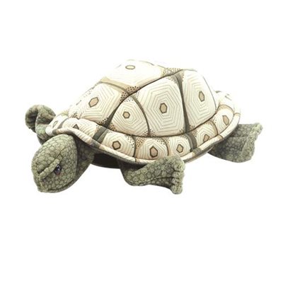 Tortue
