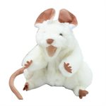 Souris blanche