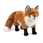Renard
