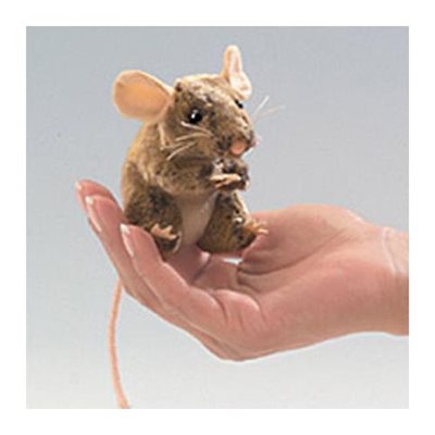 Souris des champs