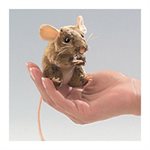 Souris des champs