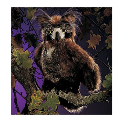 Hibou Hibou