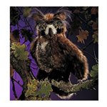 Hibou