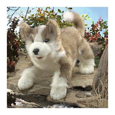 Loup Loup