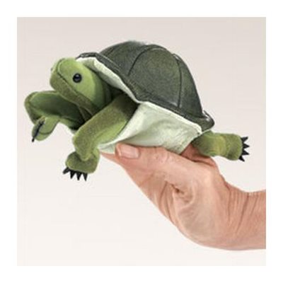 Tortue