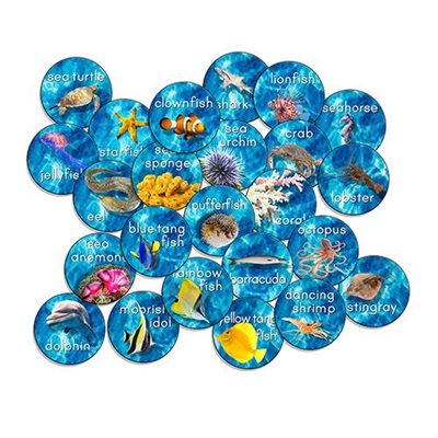 D INTO THE SEA 16"ROUNDS CRPTS D INTO THE SEA 16"ROUNDS CRPTS