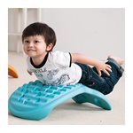 d whally board blue