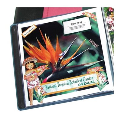 PROTECTION PAGE PLEINE PROTECTION PAGE PLEINE