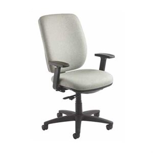D FRIO TASK CHAIR W / HEADREST